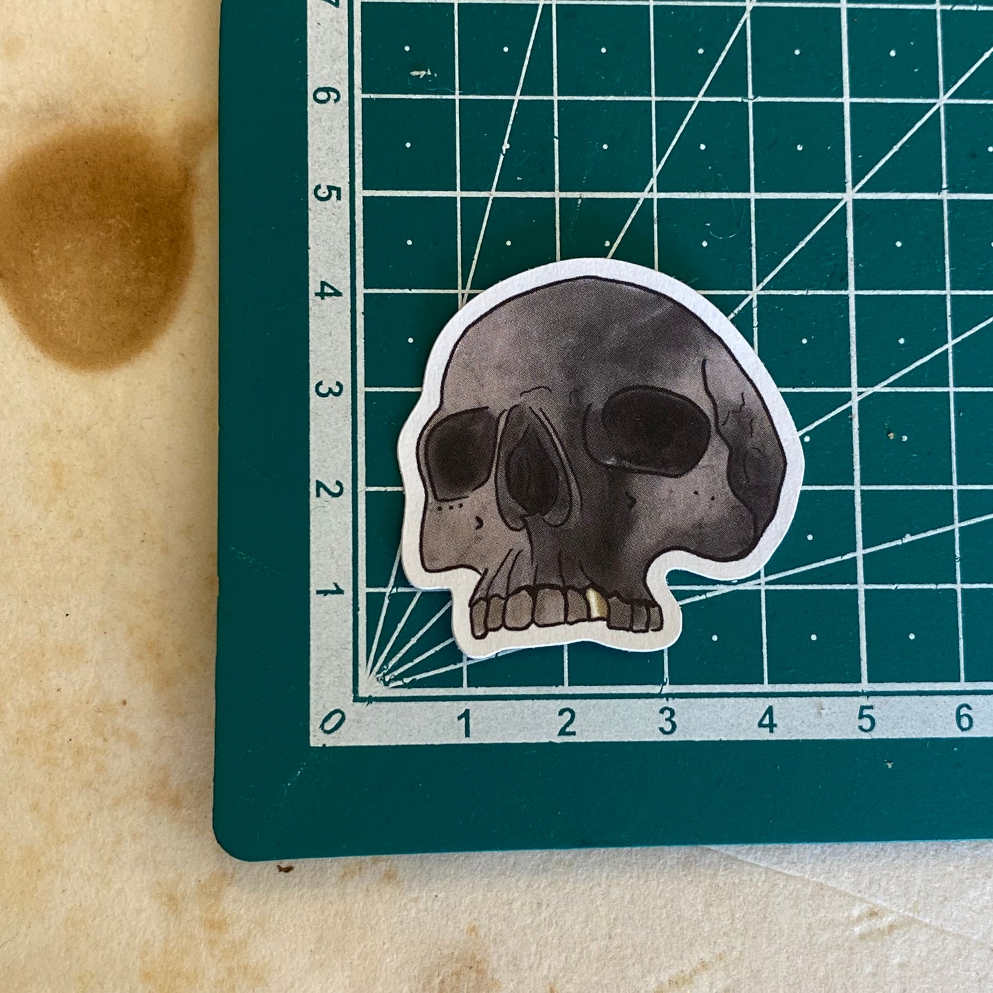 Dice Explorer Sticker Pack