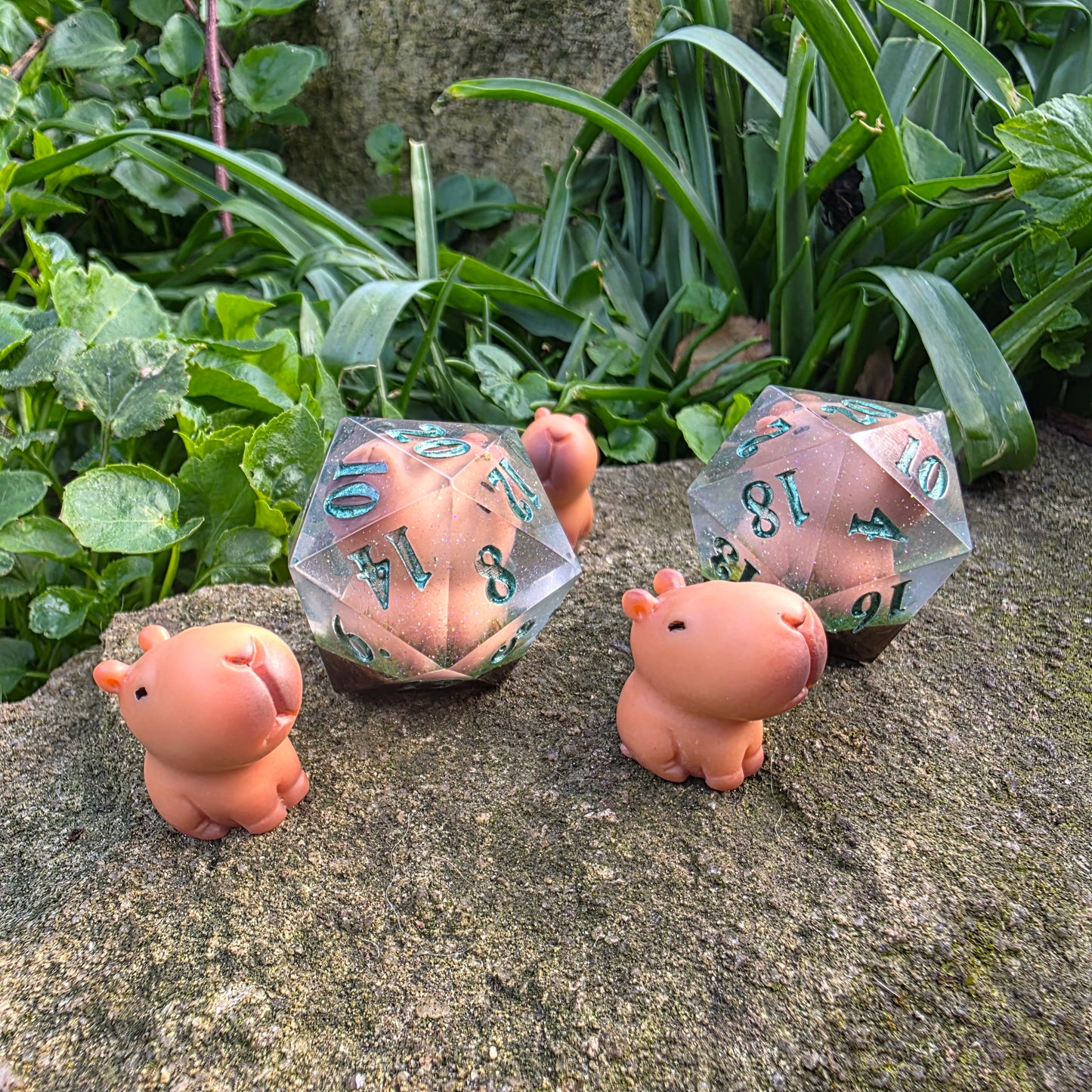 Capybara 30mm Chonk D20