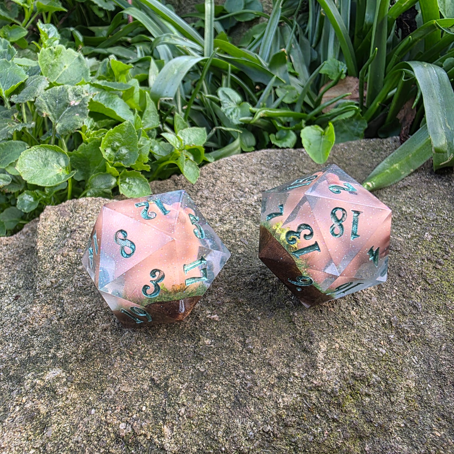 Capybara 30mm Chonk D20
