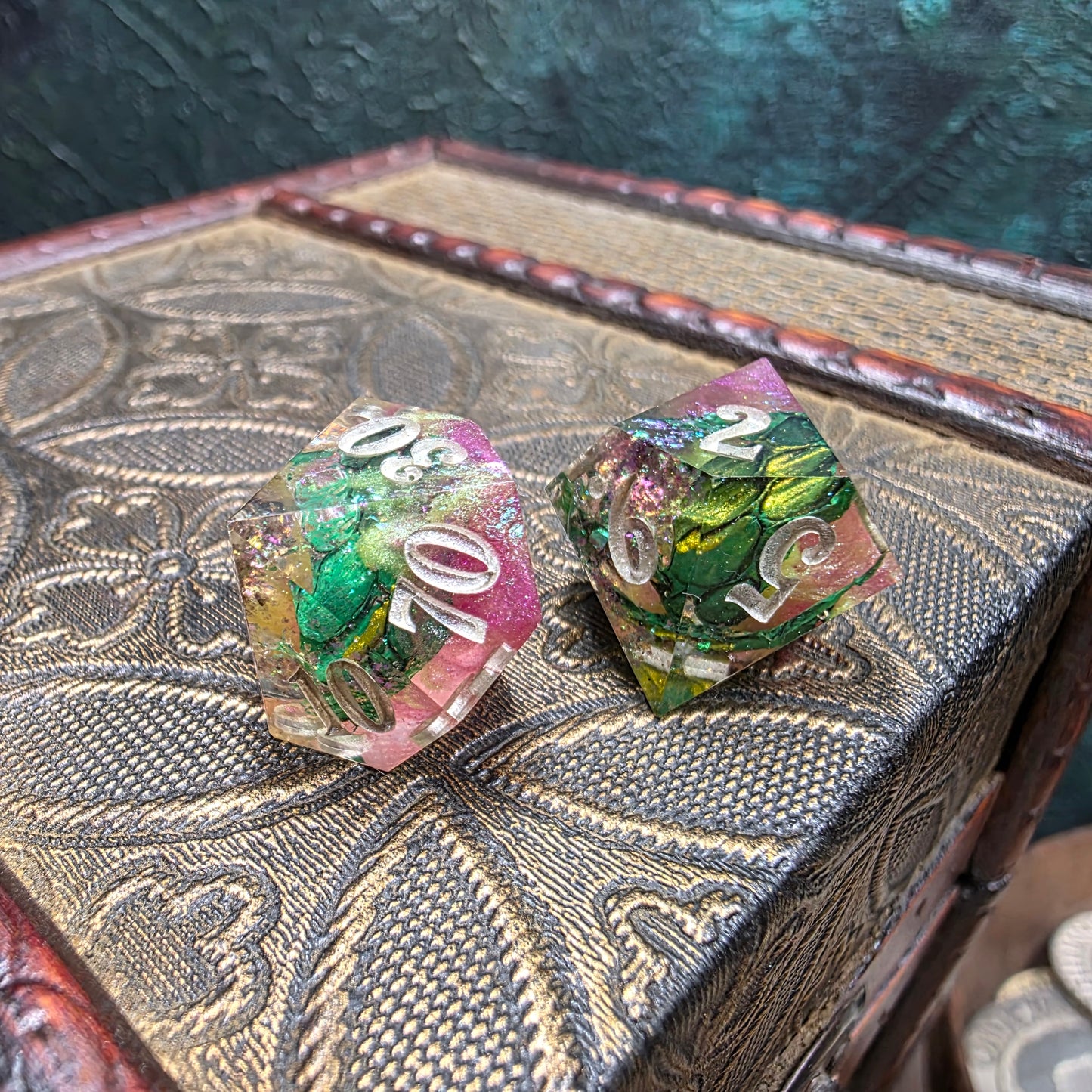 Alocasia Dragon 8 Piece Set