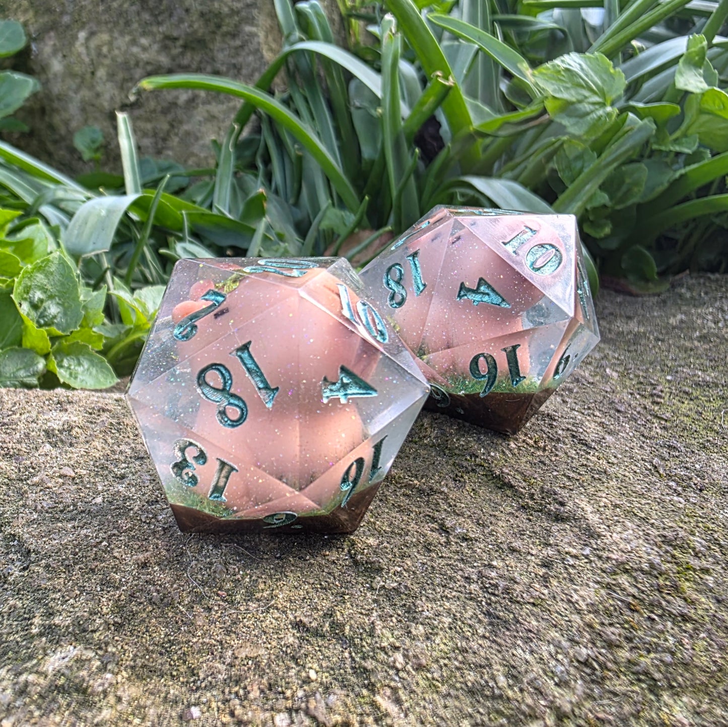 Capybara 30mm Chonk D20