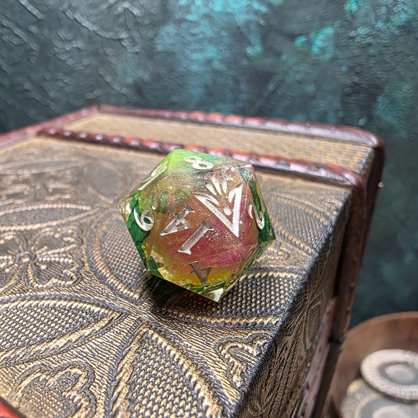 Alocasia Dragon 8 Piece Set