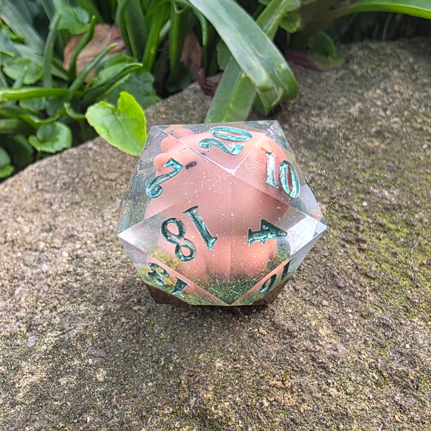 Capybara 30mm Chonk D20