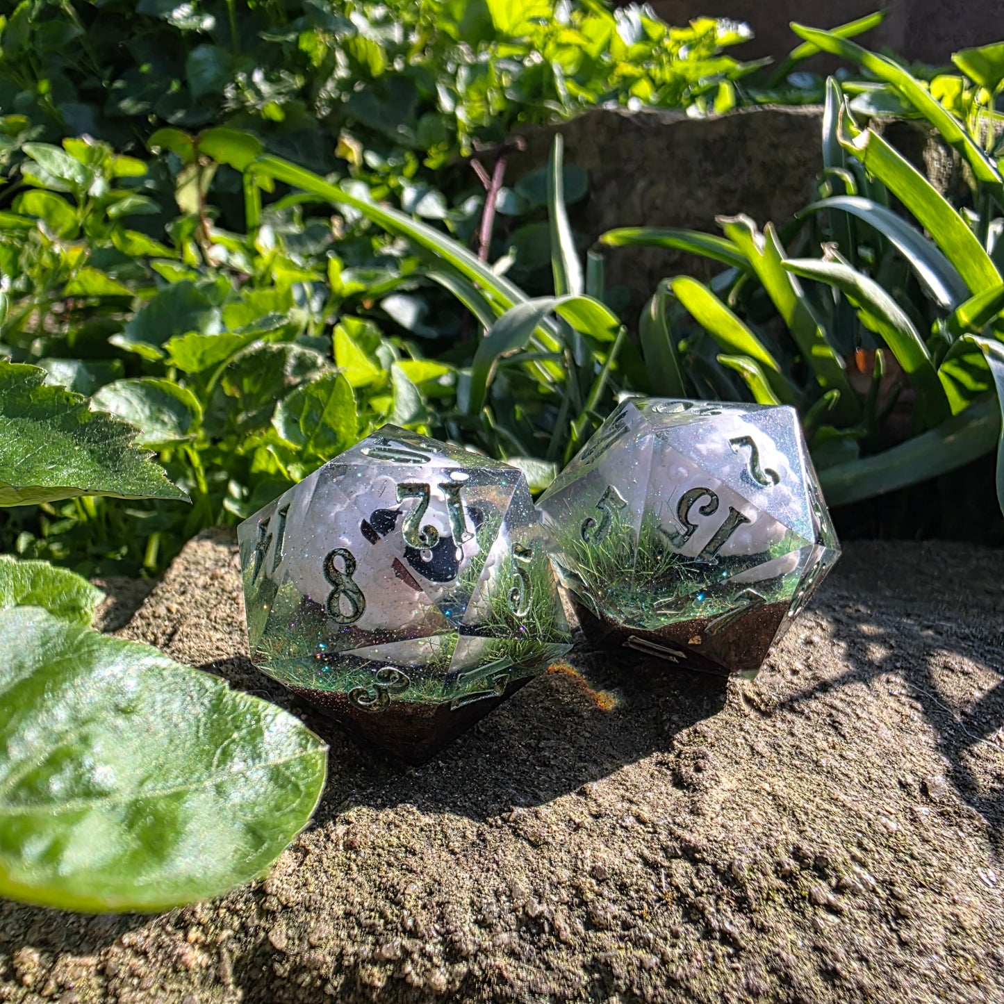 Sheep 30mm Chonk D20