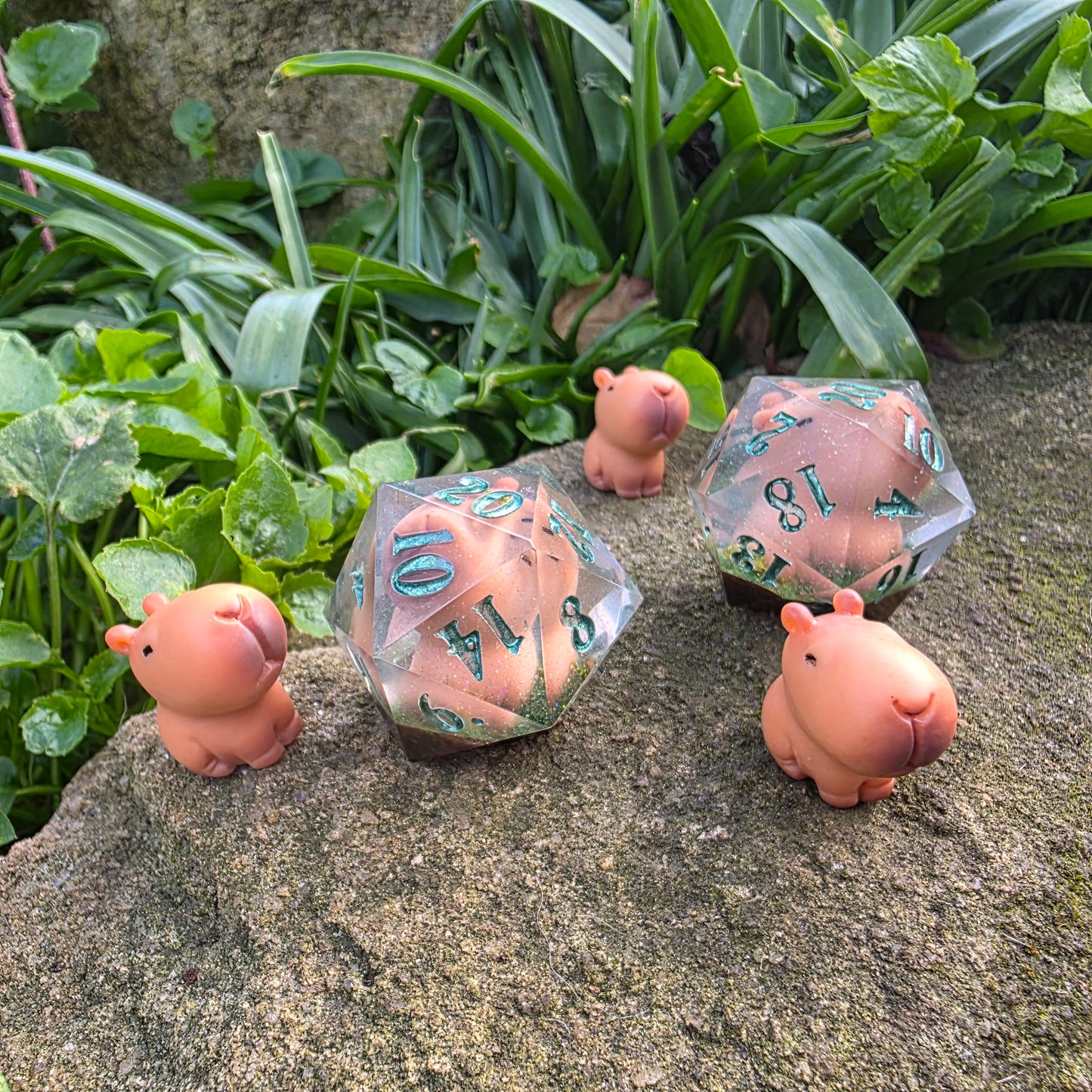 Capybara 30mm Chonk D20