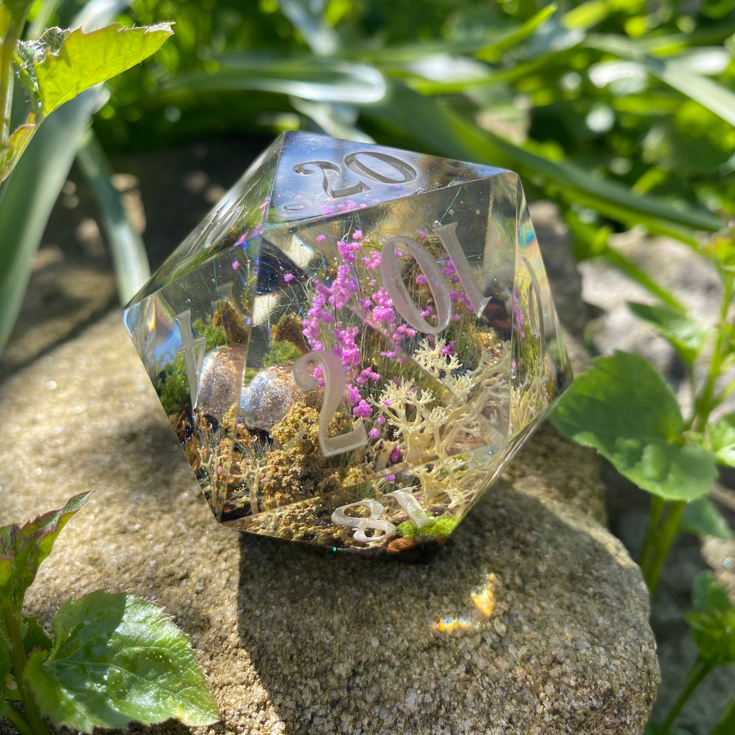 Wychwood Goliath 50mm D20