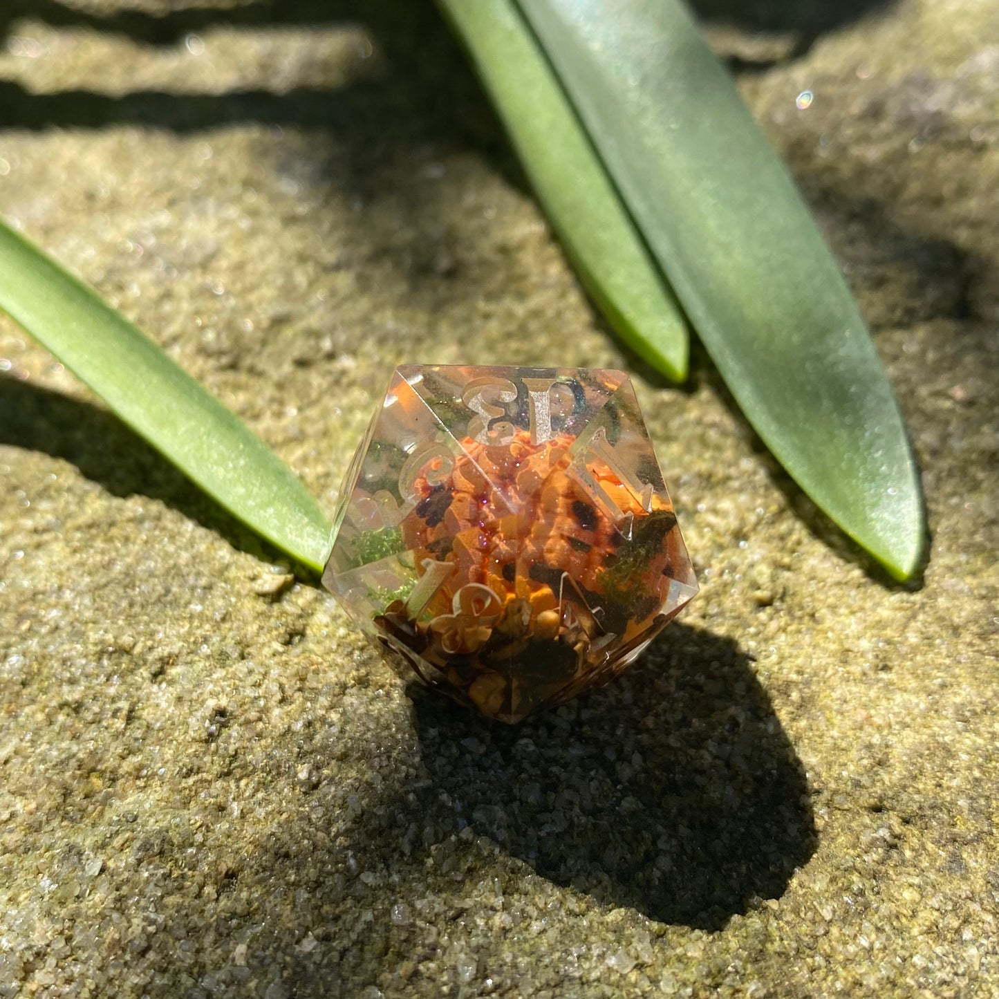 Cursed Pumpkin D20 - Orange