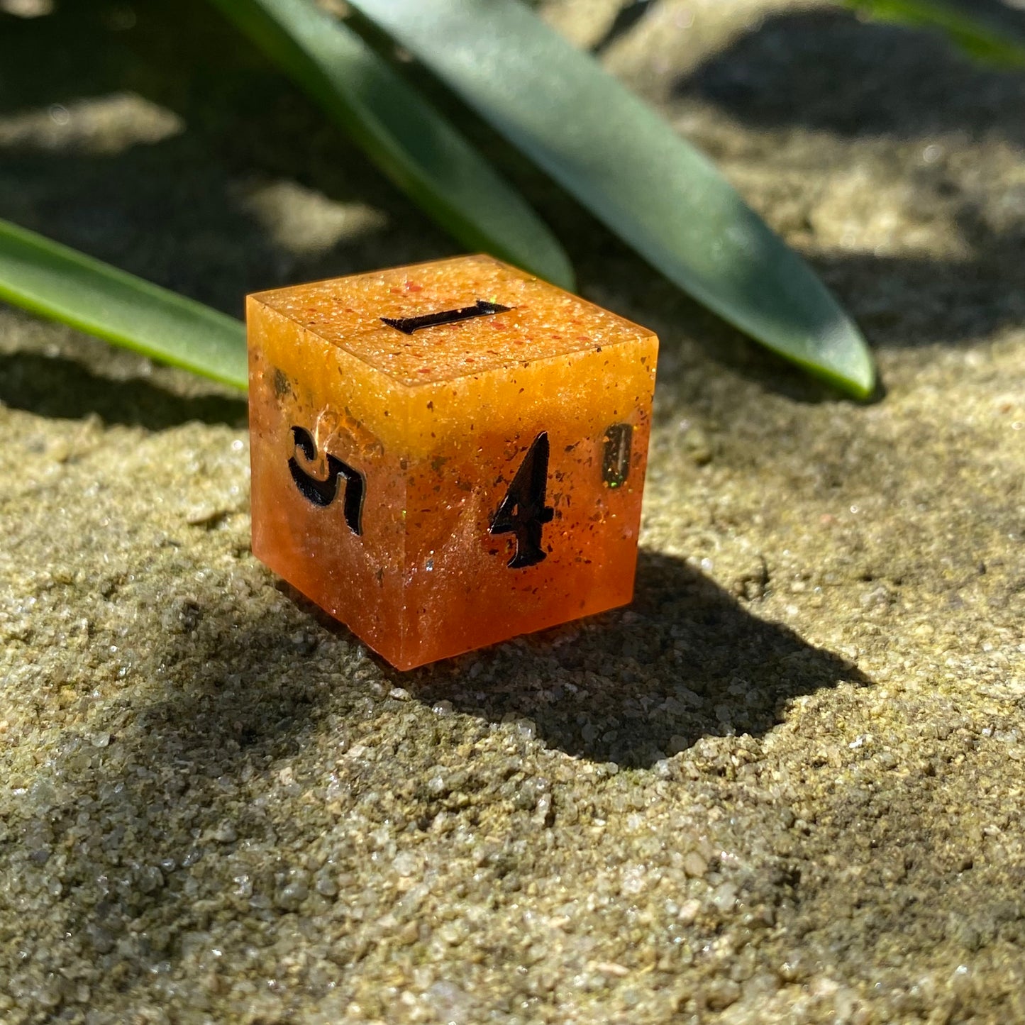 Virgo Zodiac D6