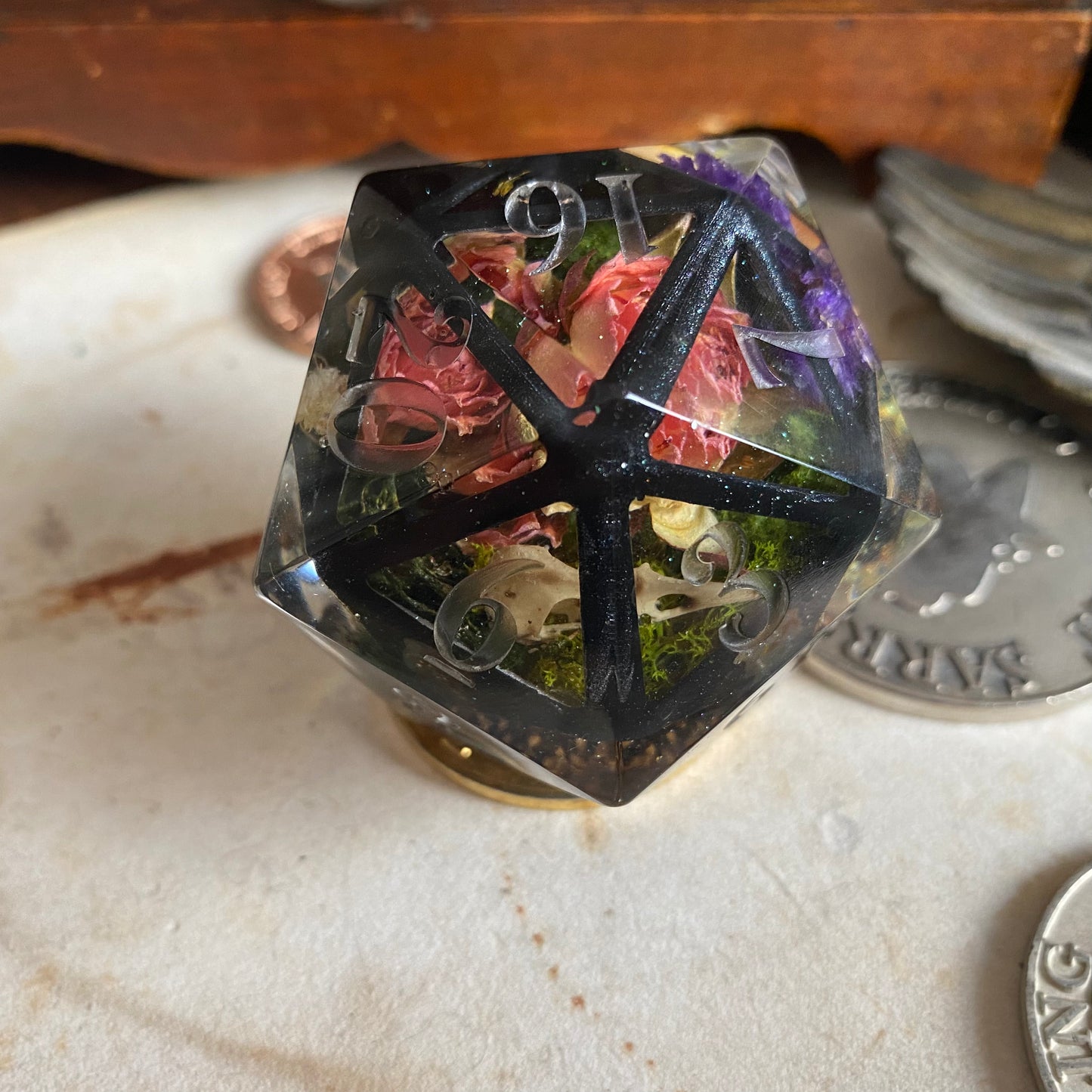 Silver Cat Terrarium: Goliath D20 (50mm)