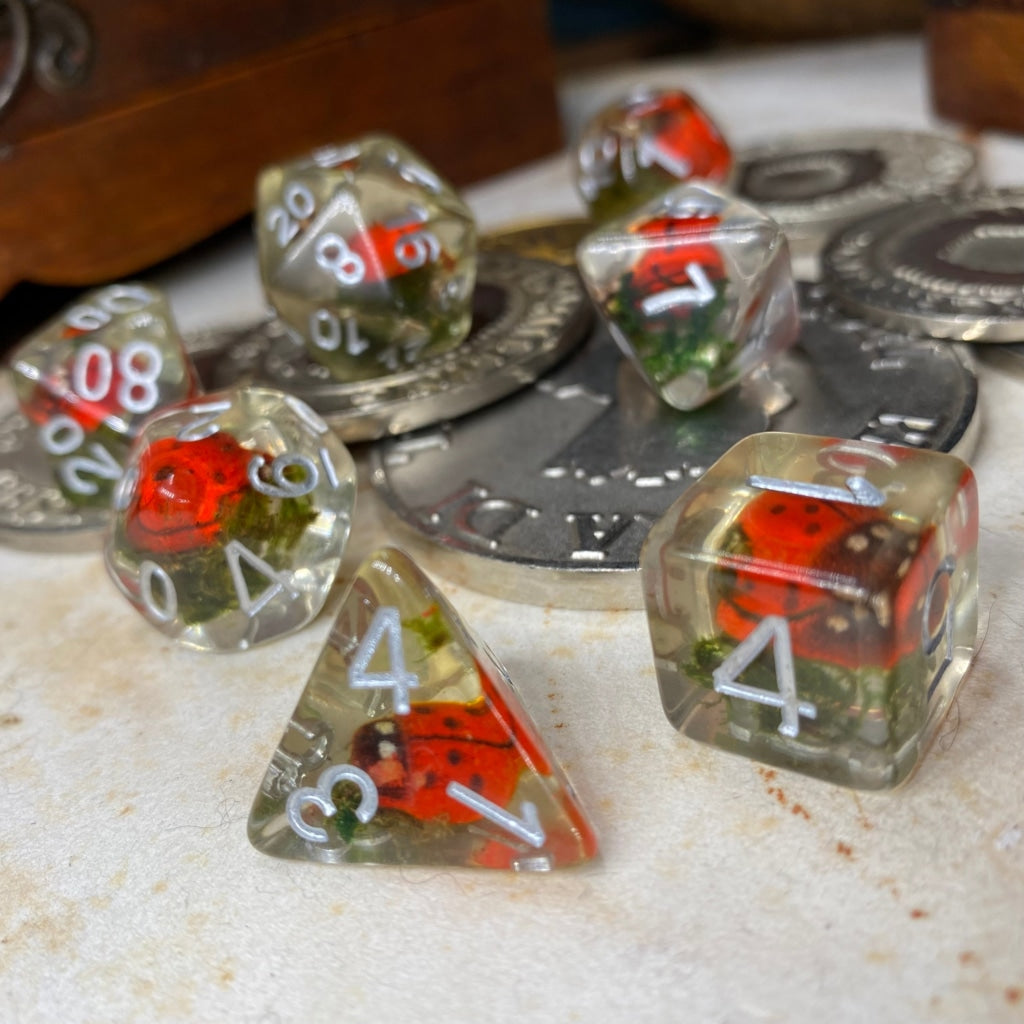 Ladybird Standard Dice