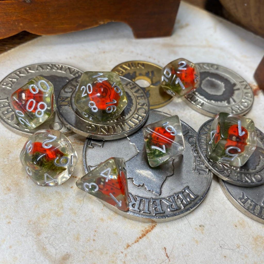 Ladybird Standard Dice