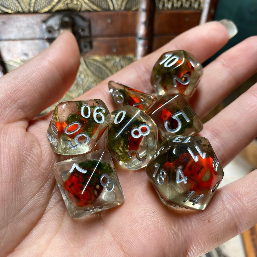 Ladybird Standard Dice