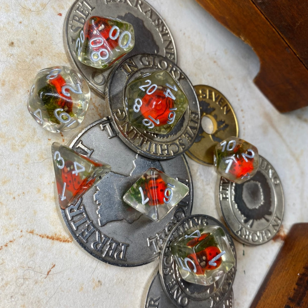 Ladybird Standard Dice