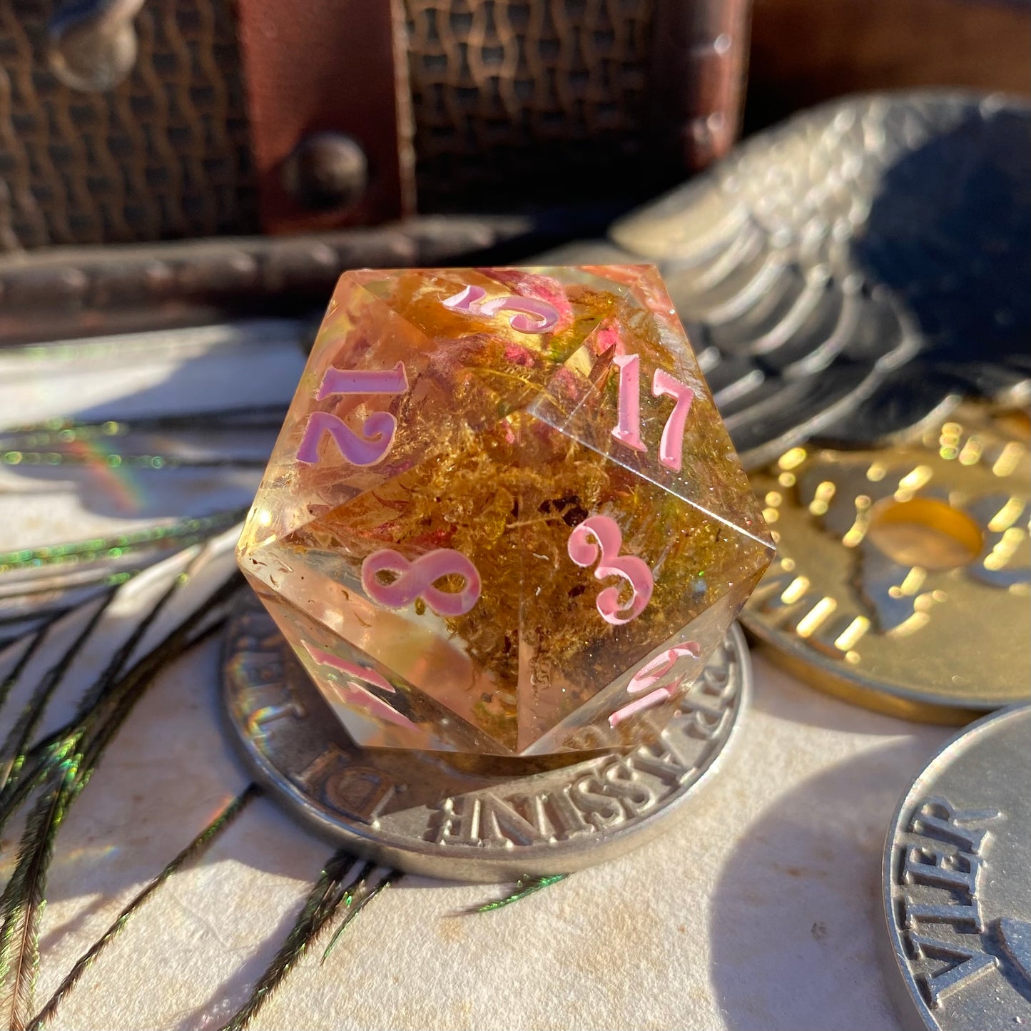 Aging Rose 30mm Chonk D20