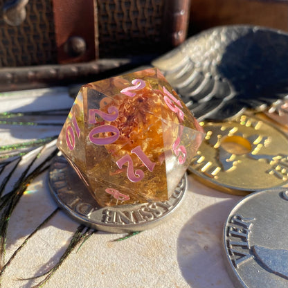 Aging Rose 30mm Chonk D20