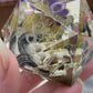 Floral Skull - Sid Goliath D20