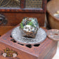 Heads Will Roll 30Mm Chonk D20 Handmade Dice