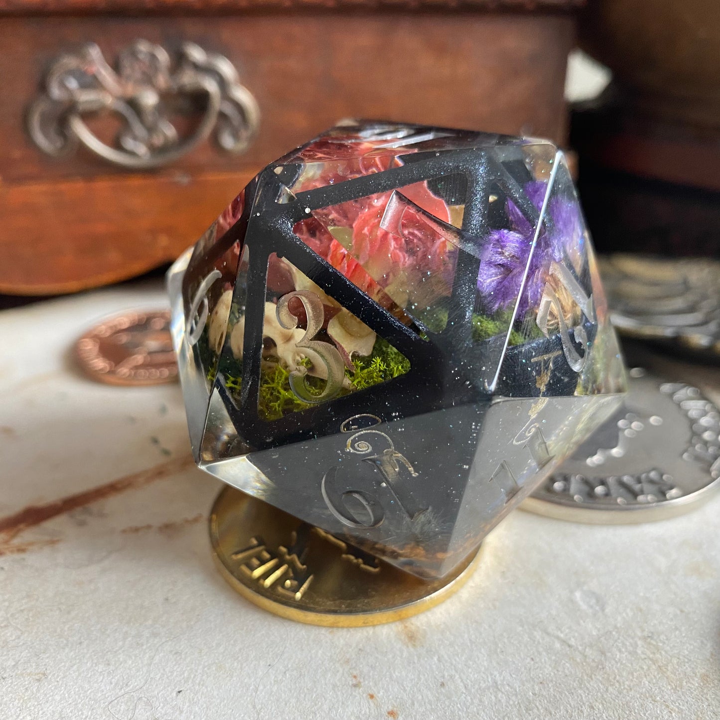 Silver Cat Terrarium: Goliath D20 (50mm)