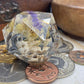 Floral Skull - Sid Goliath D20