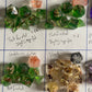 Mystery Raw Dice Set