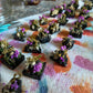 Pre-Order Wychwood 8 Piece Set