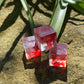 Blood in the water D6