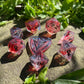 Blood in the water 8 Piece Set