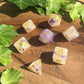 Iris Standard Dice