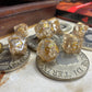 Puppy Standard Dice